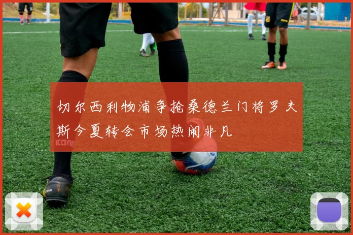 切尔西利物浦争抢桑德兰门将罗夫斯今夏转会市场热闹非凡