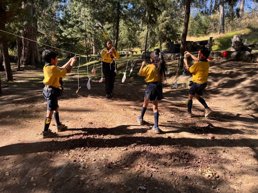 Foto 3 de Excursión